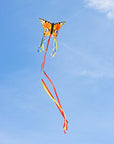 20" Butterfly Kite "R" - Peacock