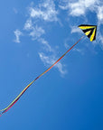 48" Delta Kite - Tie Dye