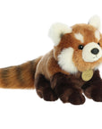 Aurora - Miyoni - 13" Red Panda Cub