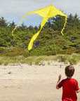In the Breeze Solid Color Fly-Hi Kites - Yellow