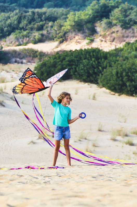 51" Butterfly Kite "L" - Monarch