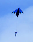 60" Cool Breeze Delta Kite