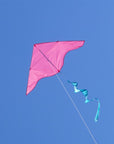 55" Colorblock Delta - Pink with Aqua Twister Tail