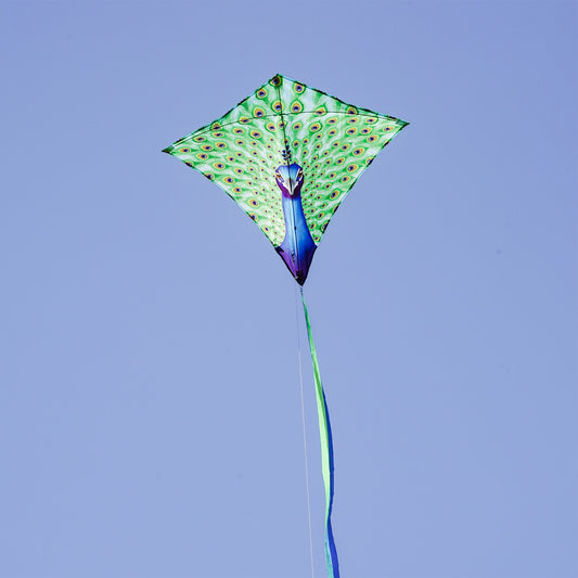 30" Diamond Kite - Peacock