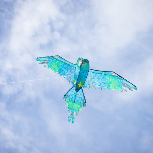 70" 3D Blue Parrot Kite