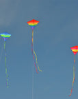 39" Rainbow Arch Diamond Kite