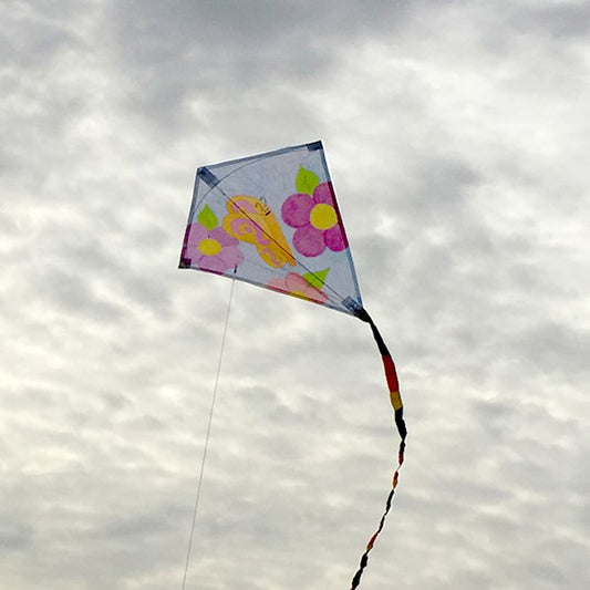 20" Diamond Coloring Kite W/ Crayons