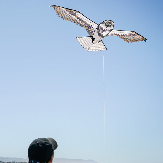 70" Osprey Kite
