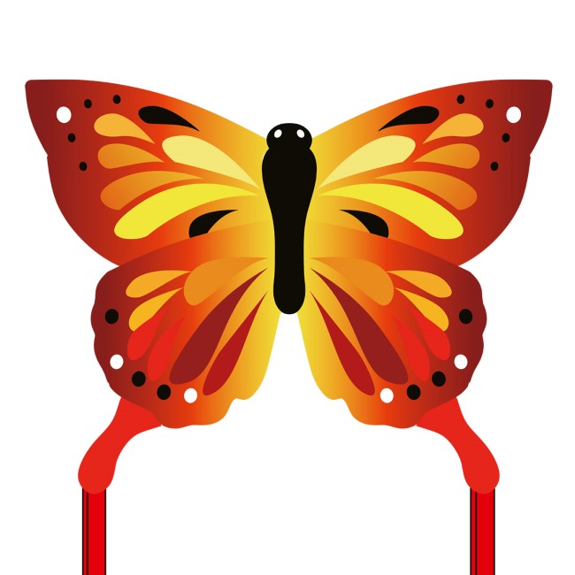 HQ Eco Butterfly Kite - Sunrise