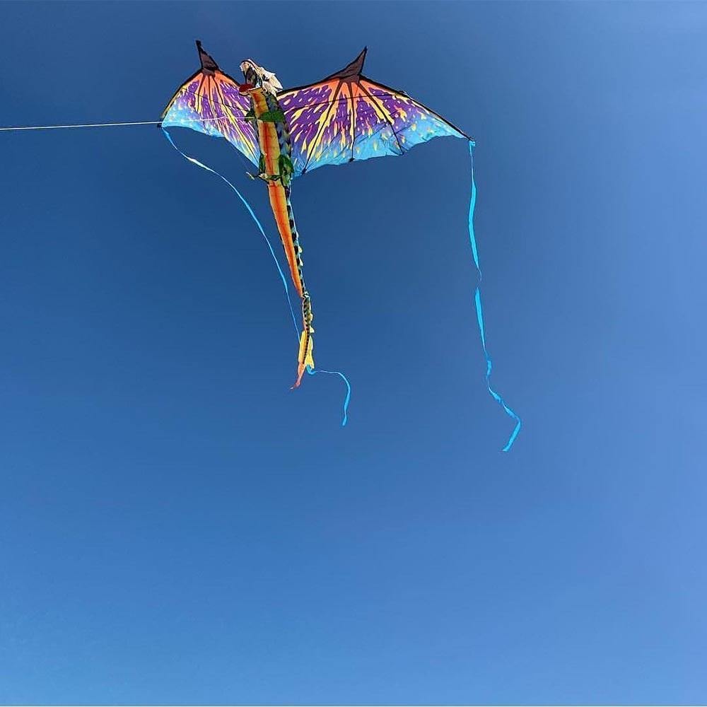 3-D Dragon Kite – Kitty Hawk Kites Online Store