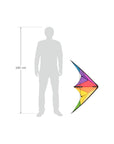 Beach & Fun Calypso II Stunt Kite - Kitty Hawk Kites Online Store