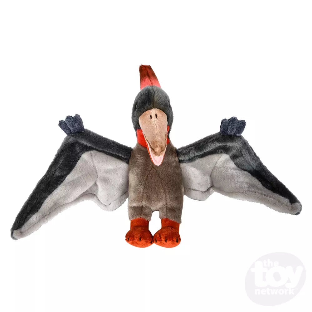 12 Heirloom Floppy Pteranodon Kitty Hawk Kites Online Store