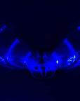 Dragon Hawk Light-Up Flying Bird - Kitty Hawk Kites Online Store