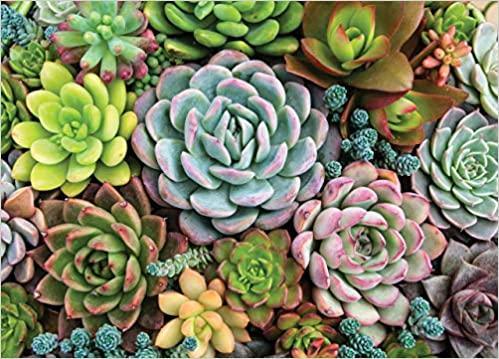 Peter Pauper Succulent Garden Jigsaw Puzzle (1000 Piece)