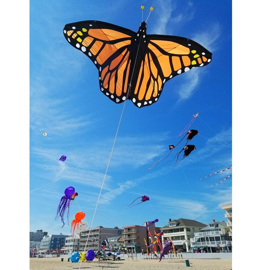 Giant Monarch Butterfly Kite Kitty Hawk Kites Online Store