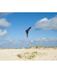 Whizz Speed Stunt Kite - Kitty Hawk Kites Online Store