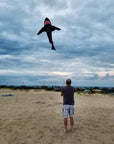 21 Foot Black Shark Kite - Kitty Hawk Kites Online Store