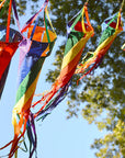 12in Rainbow Spinsock - Kitty Hawk Kites Online Store