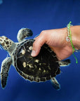 4Ocean Lime Green Sea Turtle Bracelet - Kitty Hawk Kites Online Store