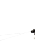 Orca Parafoil Kite