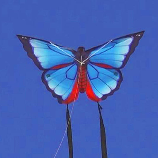 Nylon Butterfly Kite - Kitty Hawk Kites Online Store