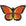 Nylon Butterfly Kite - Kitty Hawk Kites Online Store