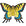 Nylon Butterfly Kite - Kitty Hawk Kites Online Store