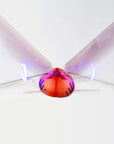 Dragon Hawk Light-Up Flying Bird - Kitty Hawk Kites Online Store