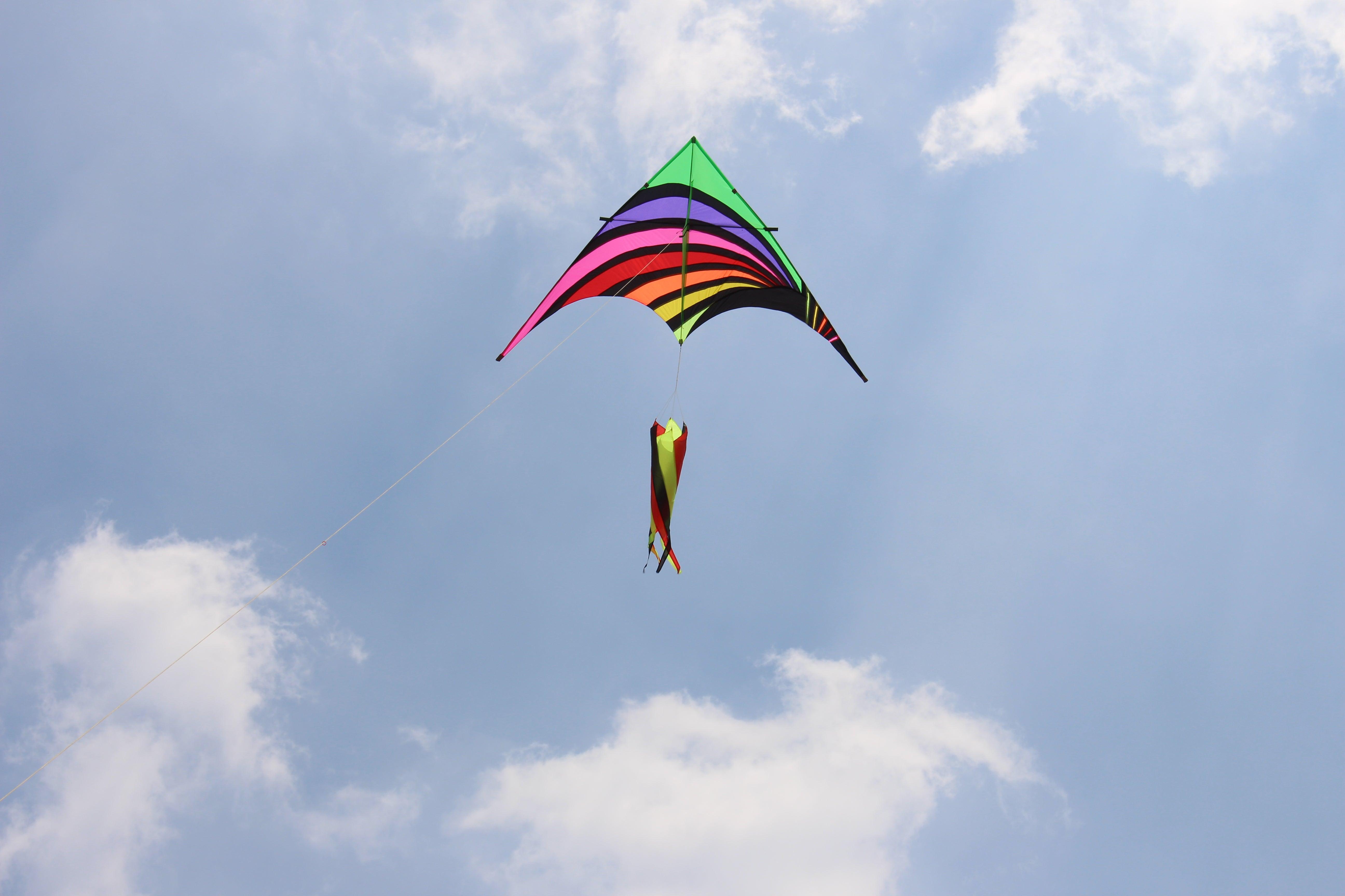 Free Shipping Large Delta Kite Flying Nylon Kite Reel Parachute
