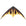Bebop Stunt Kite - Kitty Hawk Kites Online Store