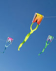 Prism Pocket Flyer Parafoil Kite - Kitty Hawk Kites Online Store