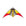 Cirrus Light Wind Stunt Kite - Kitty Hawk Kites Online Store