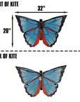 Karner Blue Butterfly Kite 32in - Kitty Hawk Kites Online Store