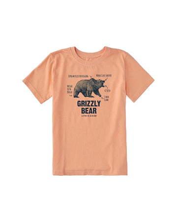 Life Is Good Kids Short Sleeve Crusher Tee - Grizzly Bear - Kitty Hawk Kites Online Store