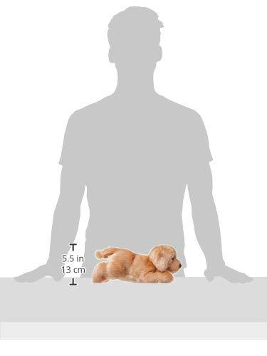 12" Goldie Labrador Flopsie - Kitty Hawk Kites Online Store