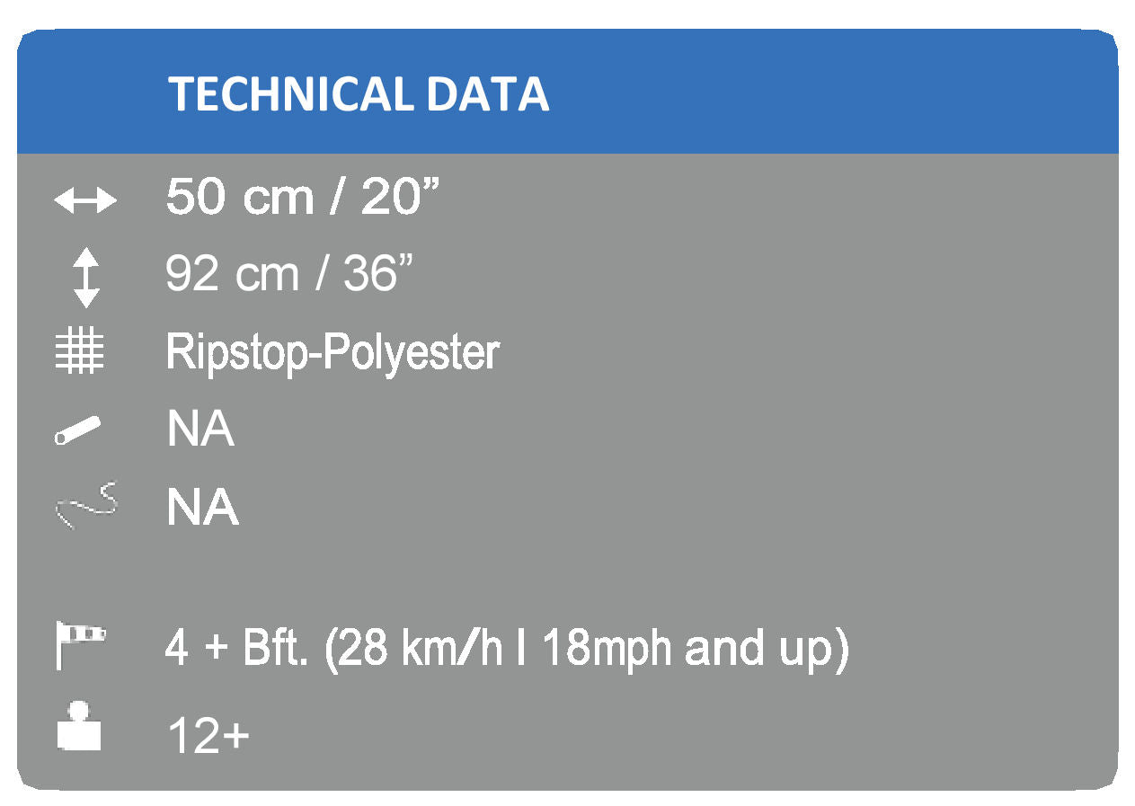 Bouncing Buddy Porky