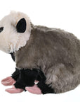 Opossum Cuddlekins Plush - Kitty Hawk Kites Online Store