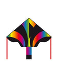 Eco Line Simple Flyers - Radiant Rainbow Large Delta Kite - Kitty Hawk Kites Online Store