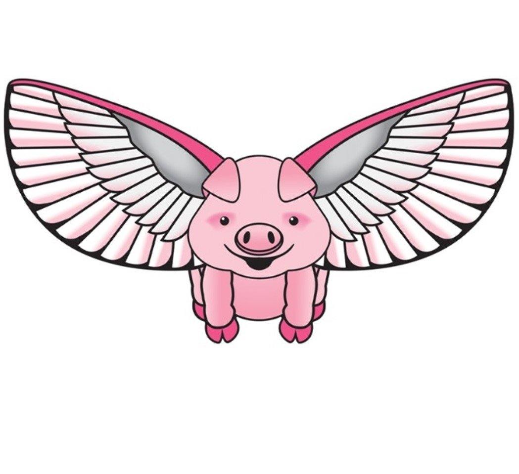 Flying Pig Kite - Kitty Hawk Kites Online Store