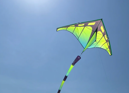 A Beginner's Guide to Kite Flying