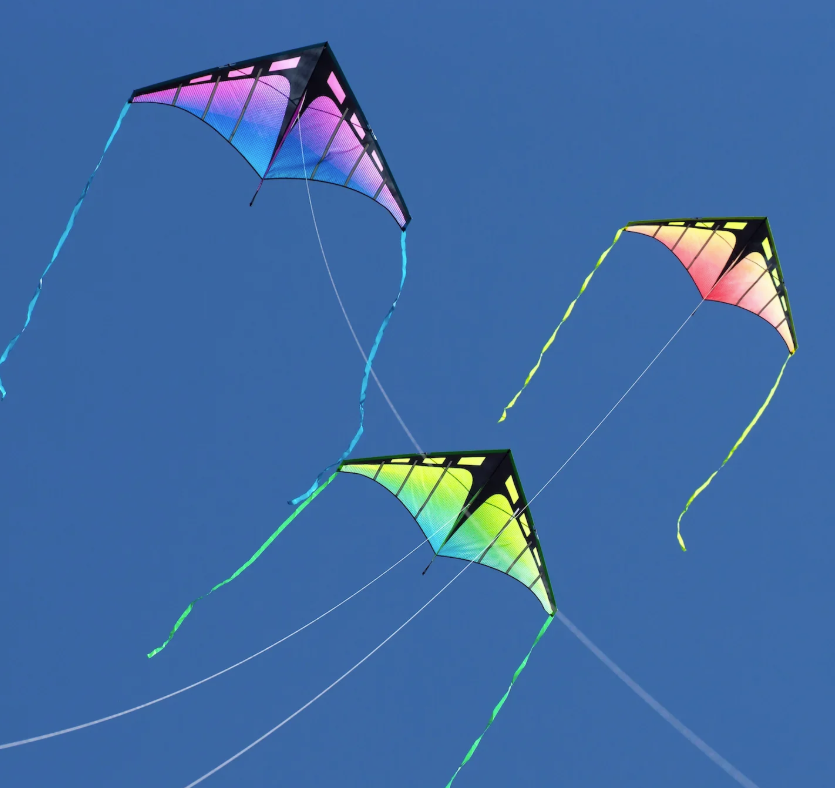 The Best Kites for Beginners