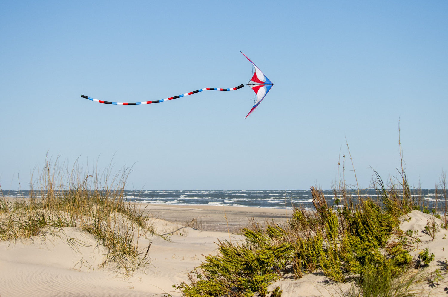Shop Kites