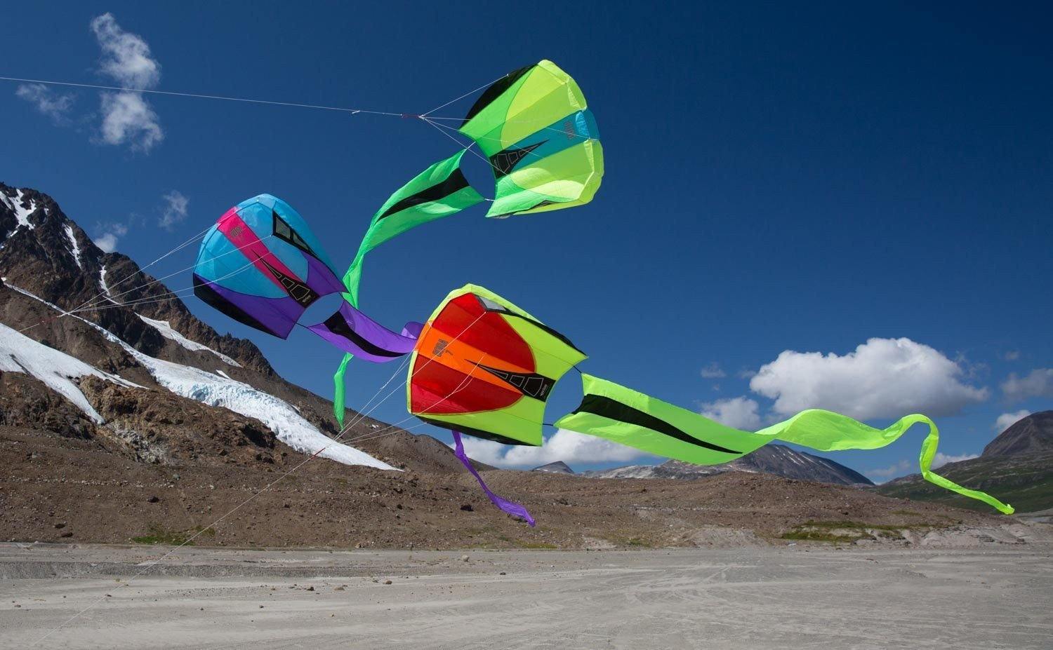 Single Line Kites