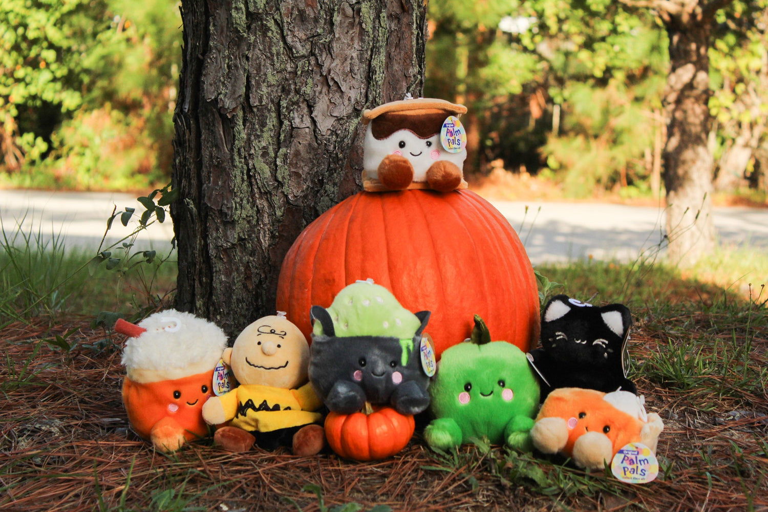 Fall Palm Pals