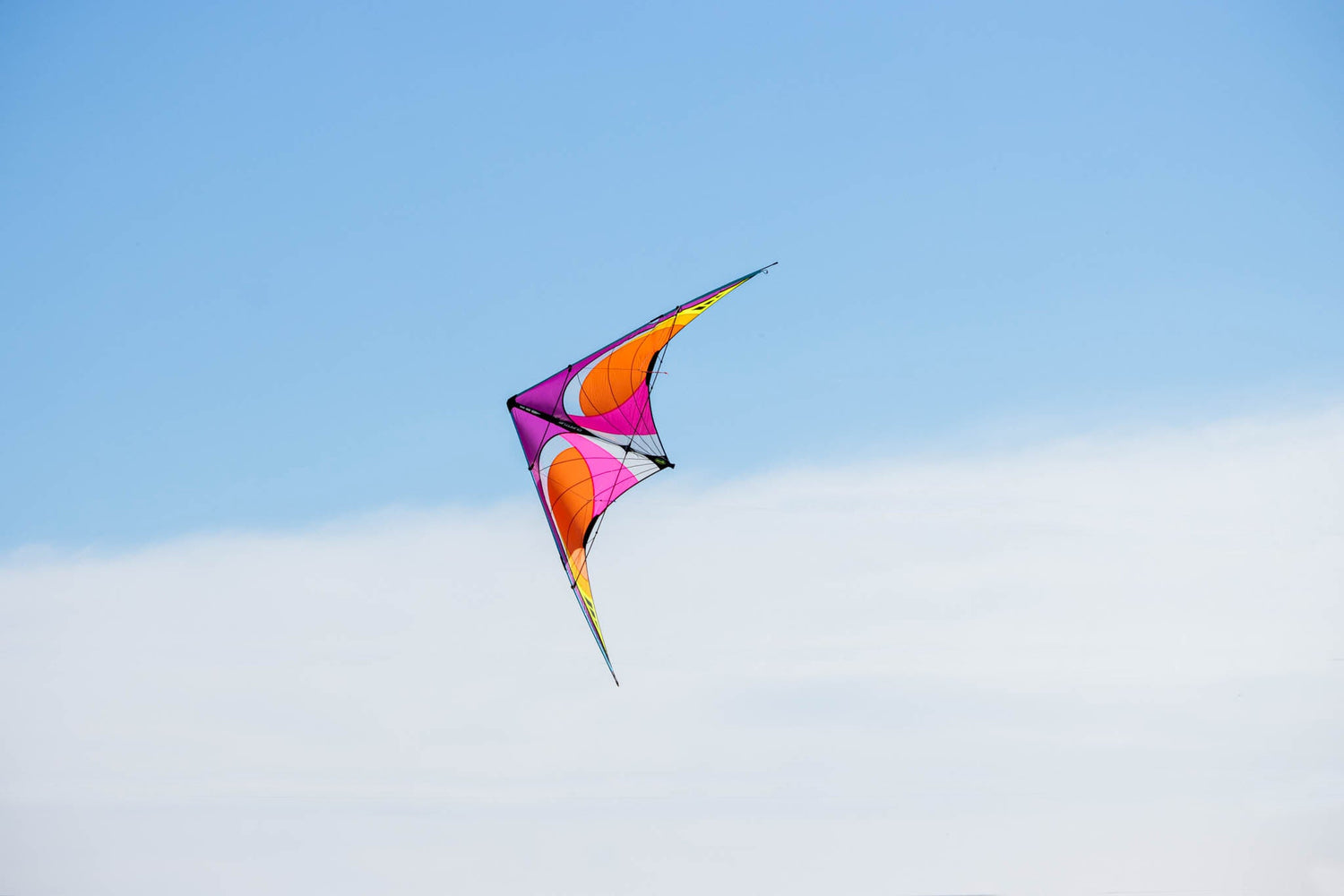 Prism 2026 Collection