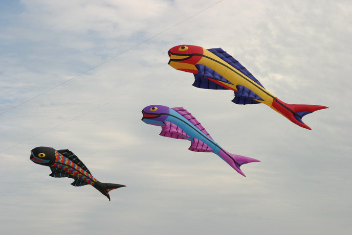 STORYBOOK 3D DRAGON – Kitty Hawk Kites Online Store
