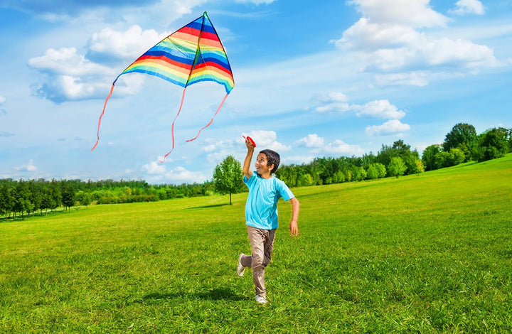 Easy To Fly Kites - Kitty Hawk Kites Online Store