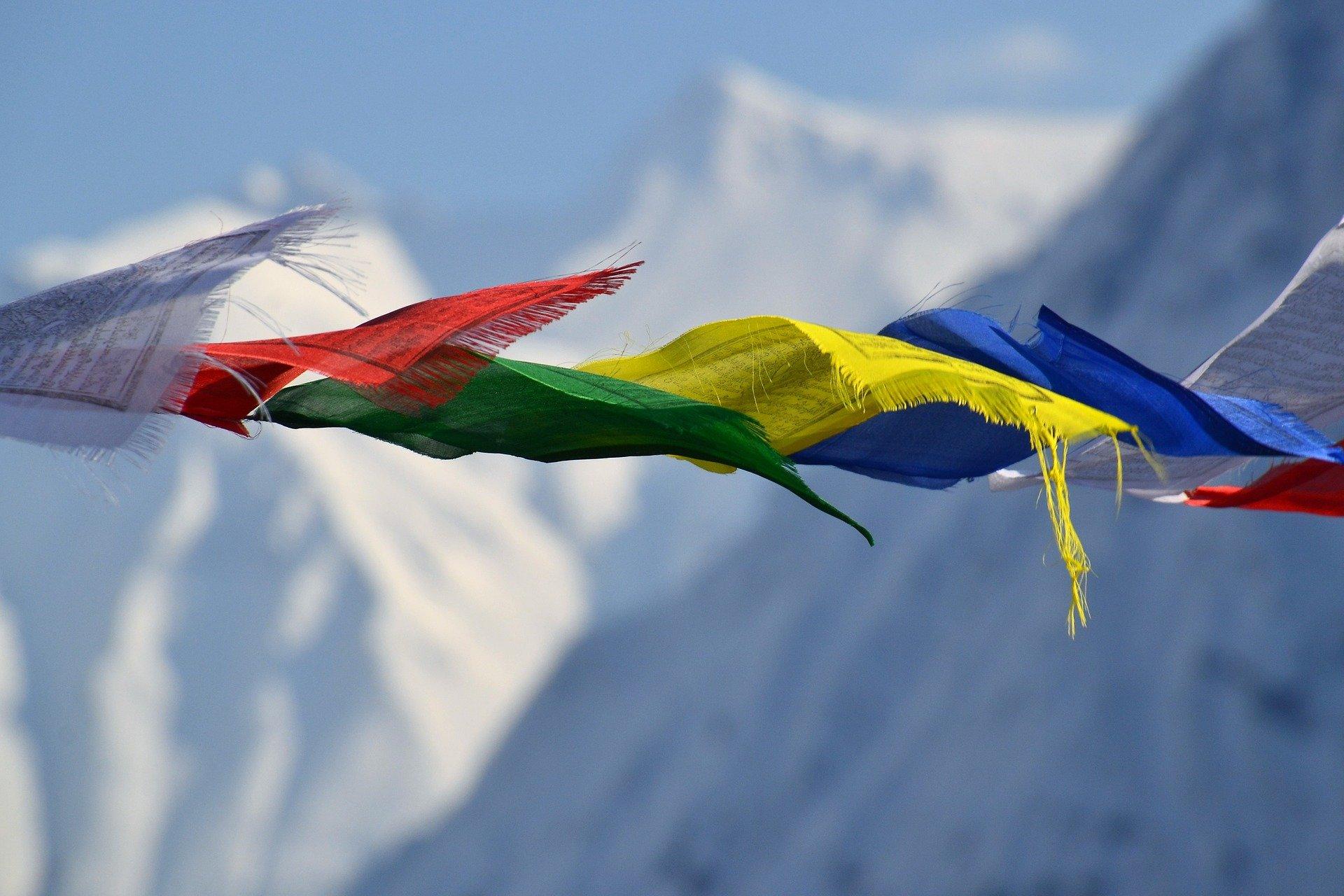 Flags - Kitty Hawk Kites Online Store