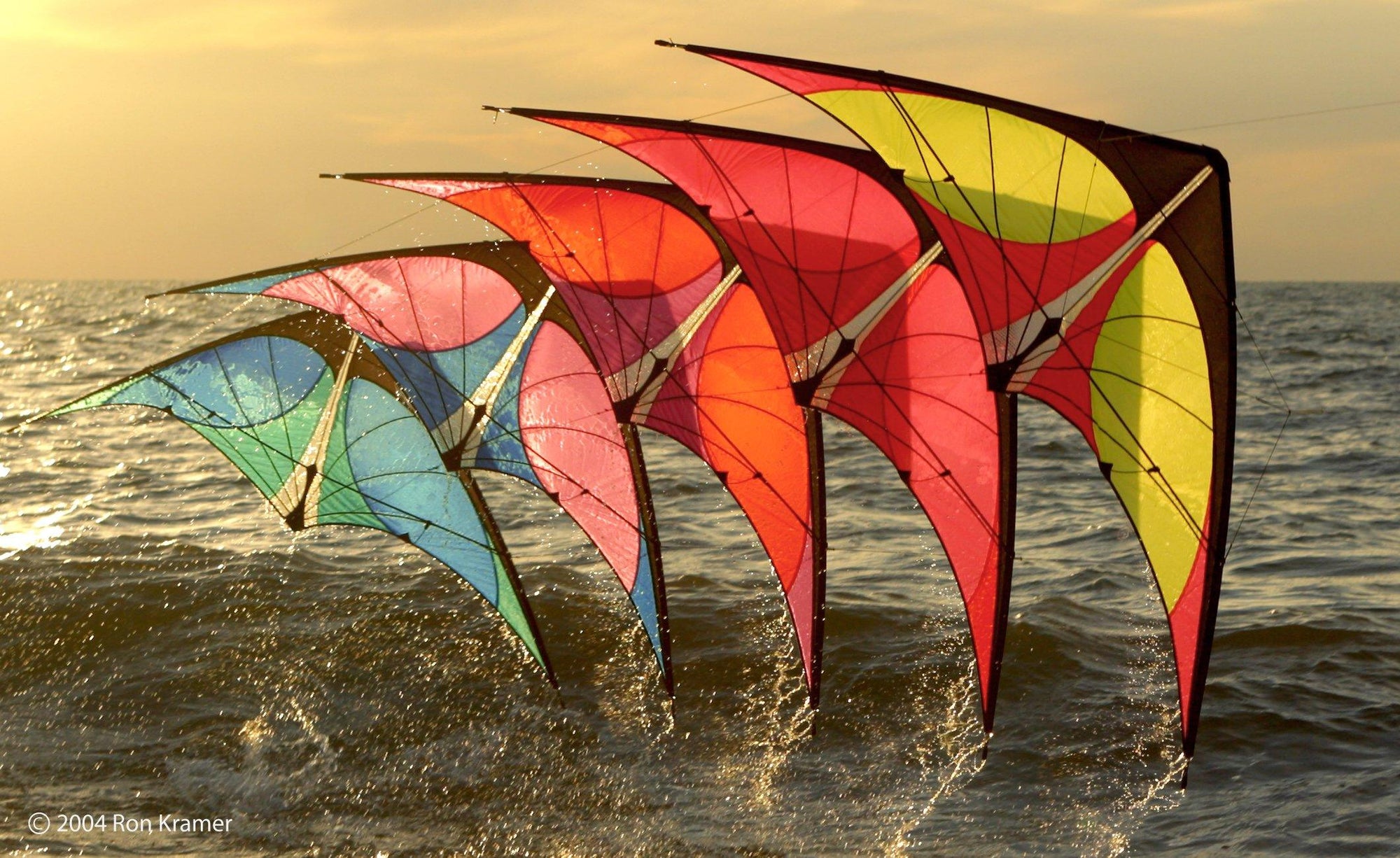 Shop Kites