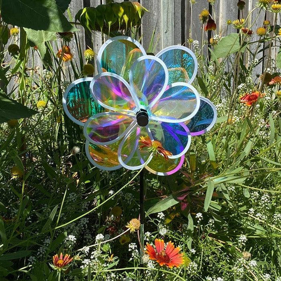 Spring Wind Art